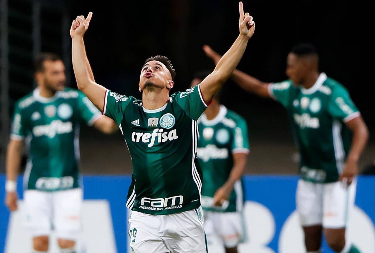 星空体育app-南帕尔梅拉斯主场获胜，继续保持领先优势-第1张图片-星空体育官方网站