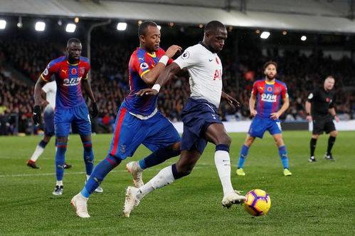 星空体育app-科隆主场反败为胜，展现崭新实力-第1张图片-星空体育官方网站